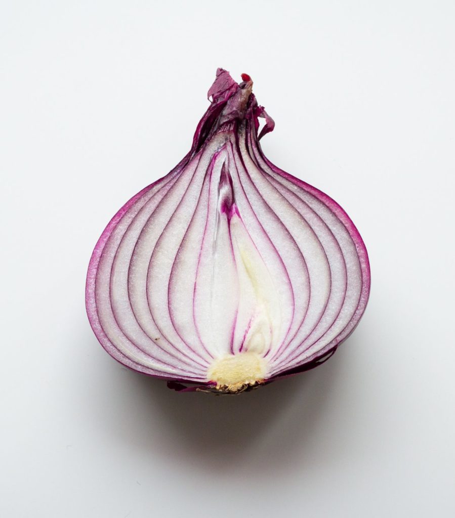 Cross section of a red onion showing different layers